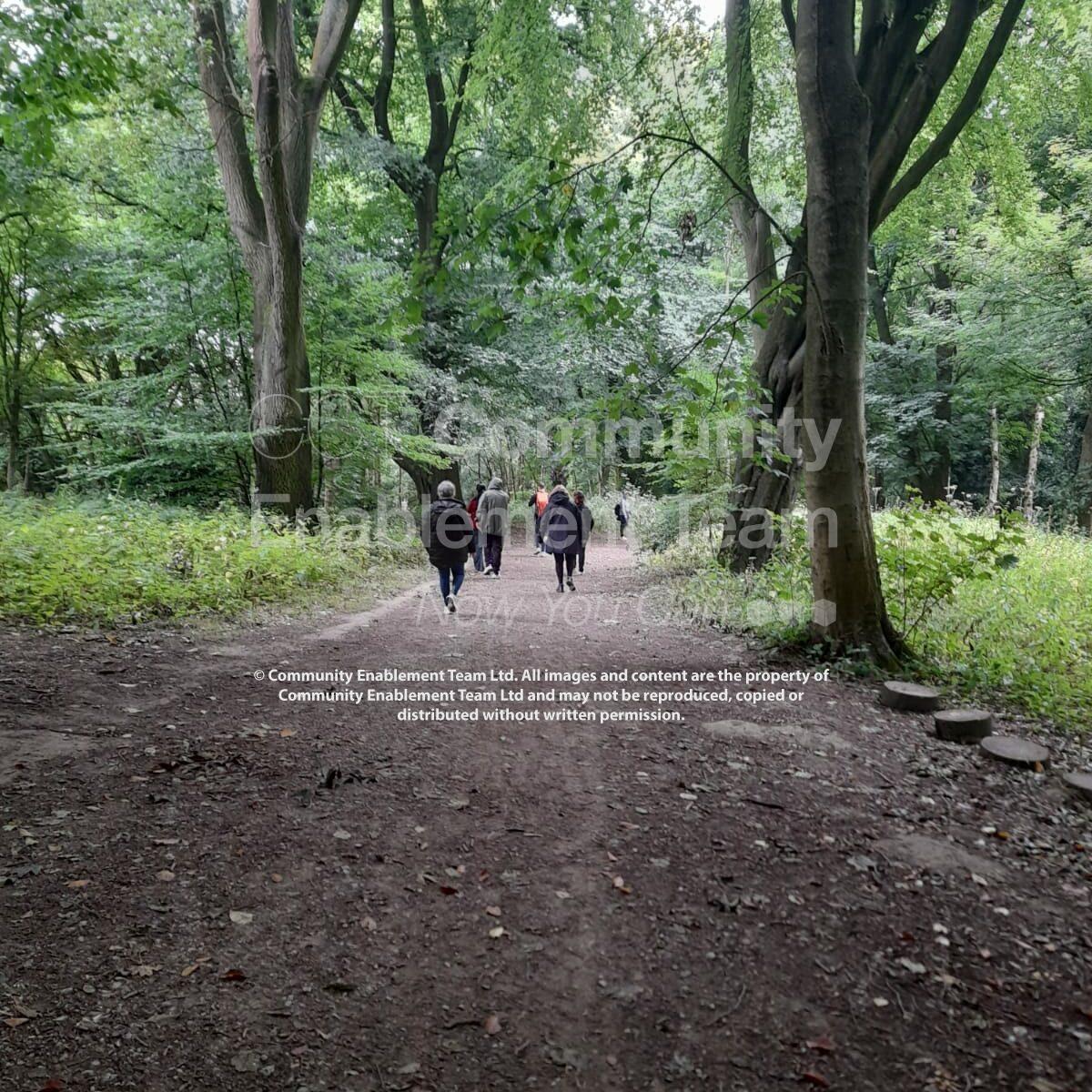 A group of people walking down a peaceful, tree-lined path in a forested area. The tall trees on either side of the path provide a canopy of green, and the group is seen walking ahead in the distance, enjoying the natural surroundings.