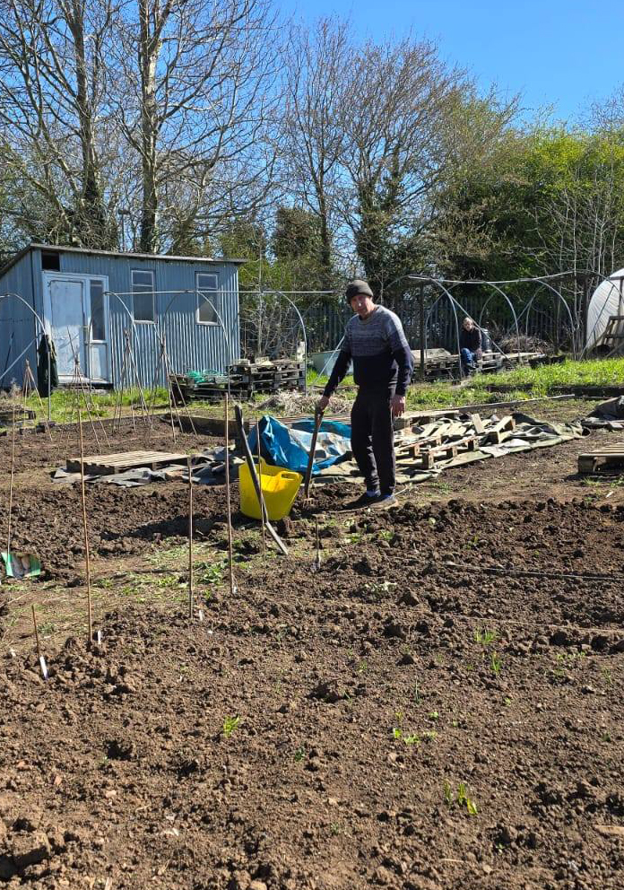 A gardening club member on the allotment leaning on his spade.