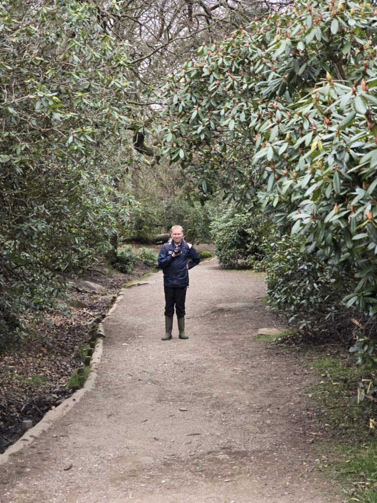 A participant walking alone along a wide woodland path lined with dense green rhododendron bushes, carrying a camera.