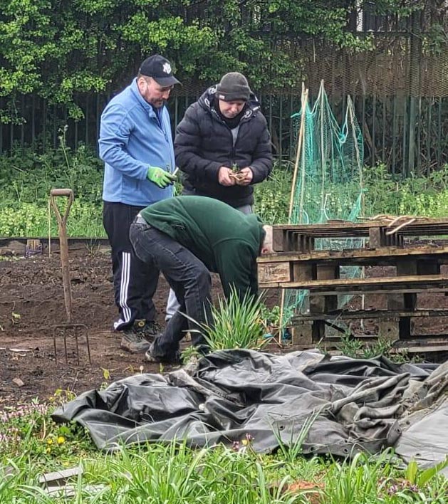 Three men working together by stacked pallets – Three men prepare planting areas and discuss next steps beside a stack of wooden pallets in the allotment.