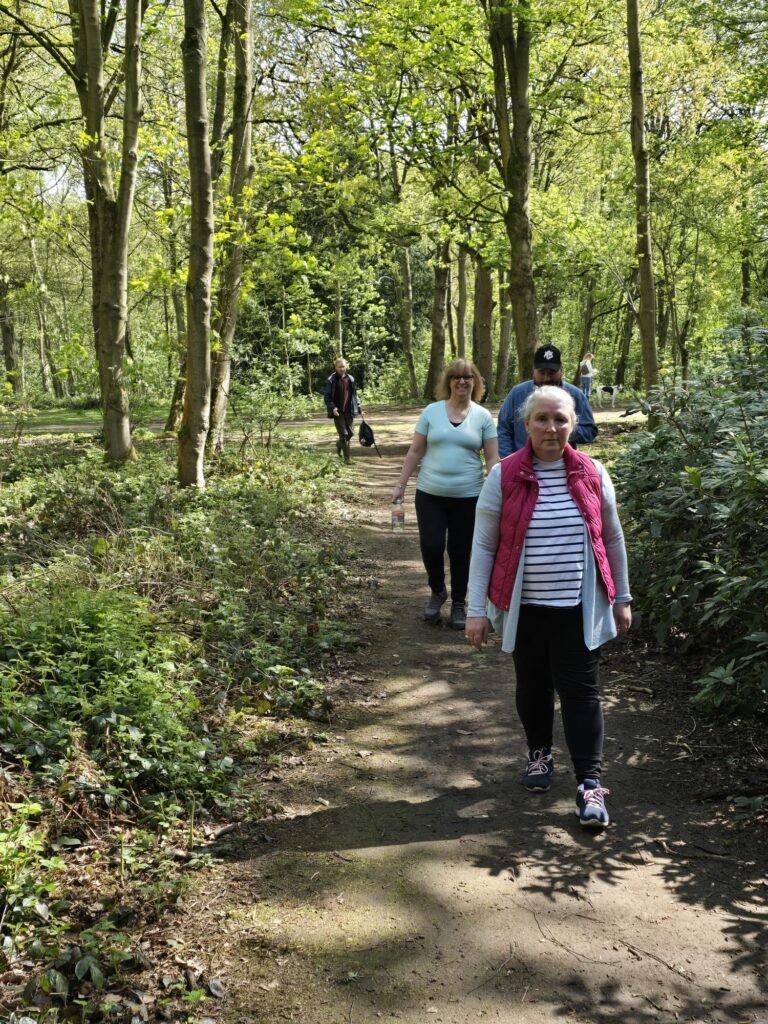 A small group walking along a forest path surrounded by tall trees and greenery.