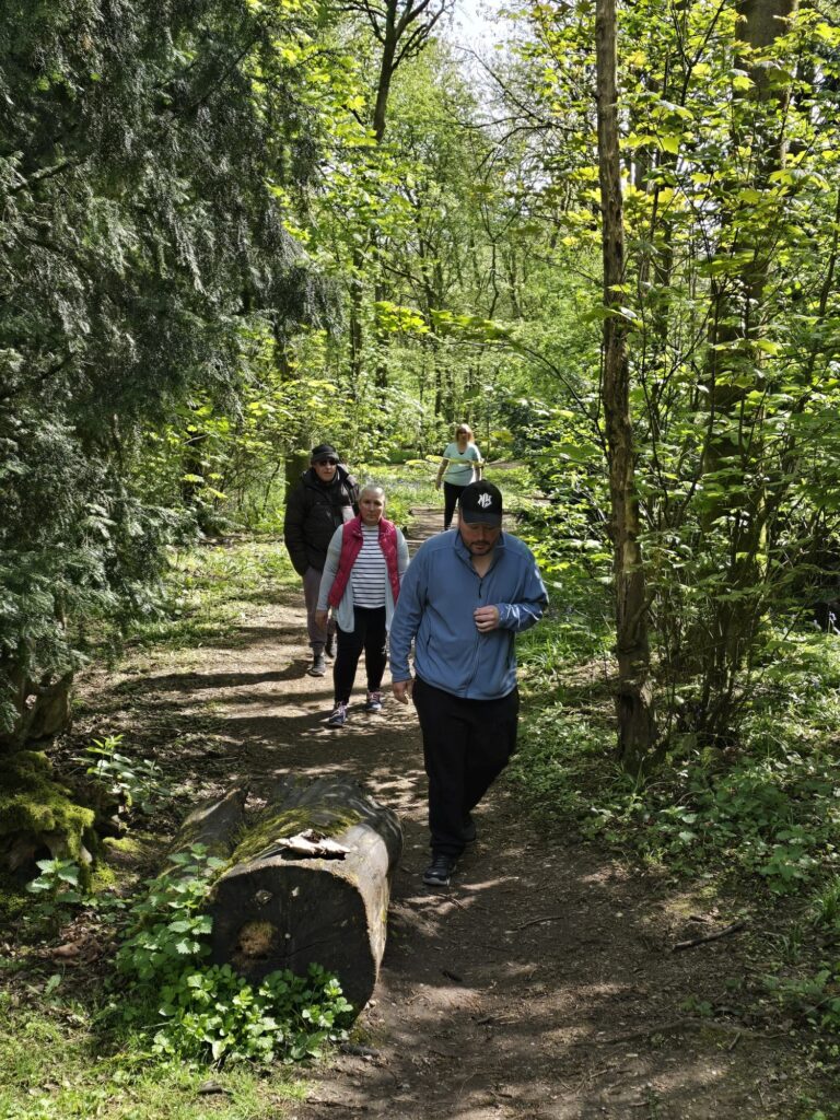 Group of walkers making their way down a leafy path, passing a large moss-covered tree trunk.