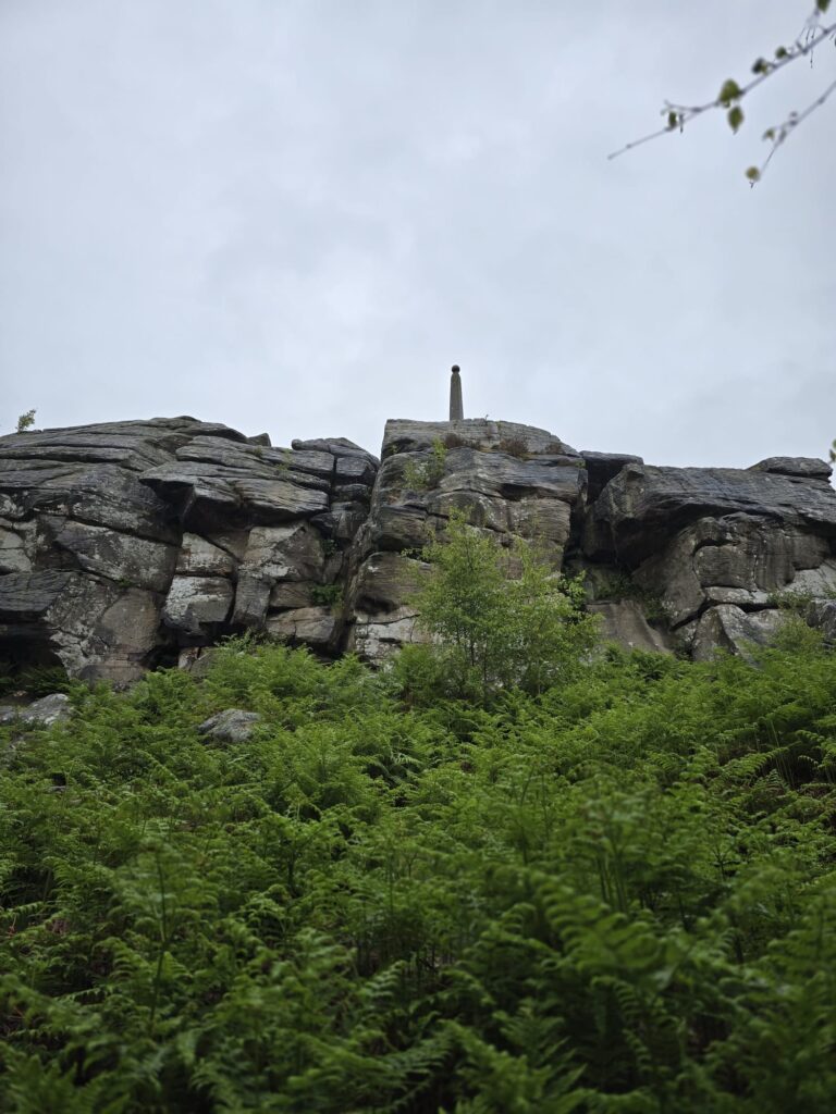 A view from below of rocky cliffs covered in green ferns, with the Lord Nelson Monument just visible at the top under a grey sky.