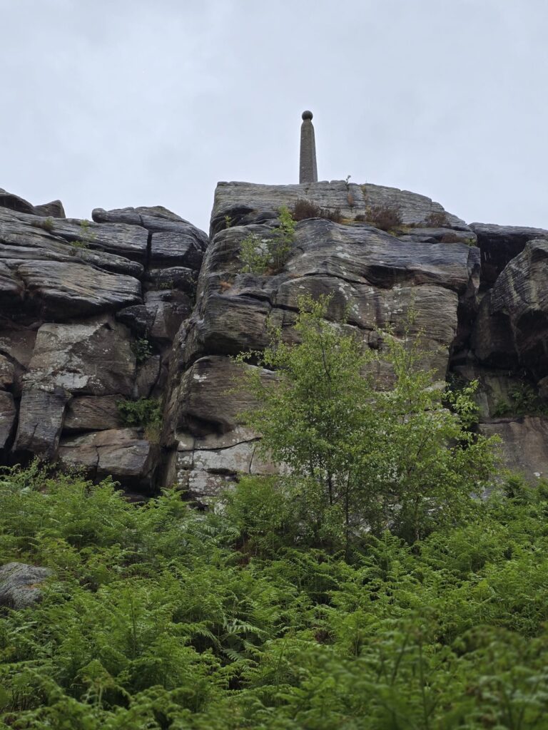 A close-up view of the rocky outcrop beneath the Lord Nelson Monument, with lush green ferns in the foreground.
